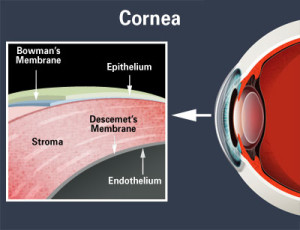 Paquimetria Ultrassônica - Mede a espessura da córnea